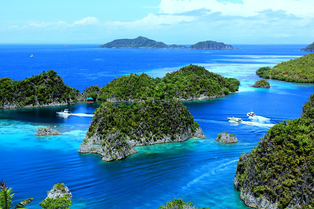 Surga Bawah Laut Indonesia yang Diakui Oleh Dunia - Gatsby